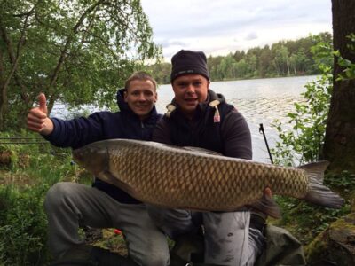 Baltasis amūras, 13,4 kg — Ilgis