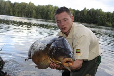 Paprastasis karpis, 14,5 kg — Ilgis
