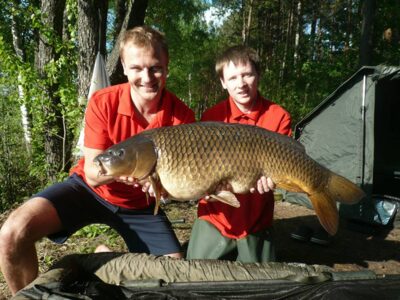 Paprastasis karpis, 15,3 kg — Ilgis