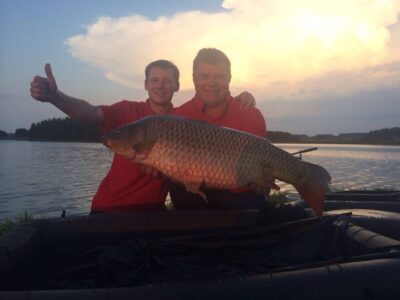 Paprastasis karpis, 11,0 kg