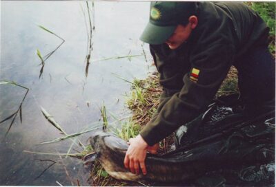 šamas, 6,0 kg — Ilgis