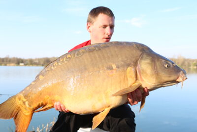 Paprastasis karpis, 19,0 kg