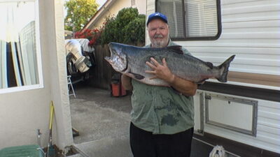 , 20,1 kg