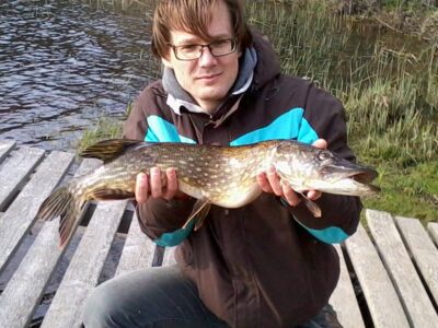 Lydeka, 2,7 kg