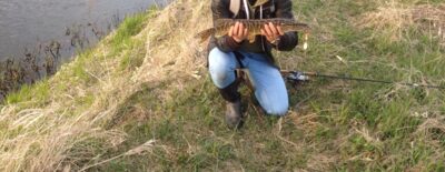 Lydeka, 1,0 kg — Neris