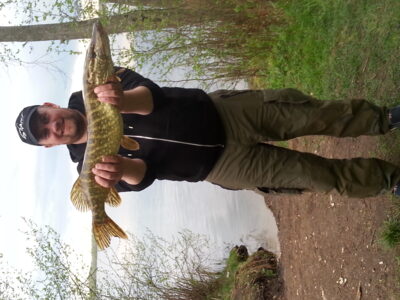 Lydeka, 3,0 kg