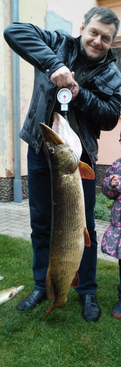 Lydeka, 11,5 kg — Dotamo