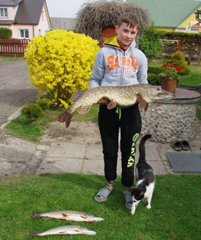 Lydeka, 7,2 kg — Girdžių