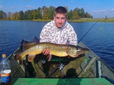 Lydeka, 6,1 kg