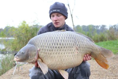 Paprastasis karpis, 21,5 kg