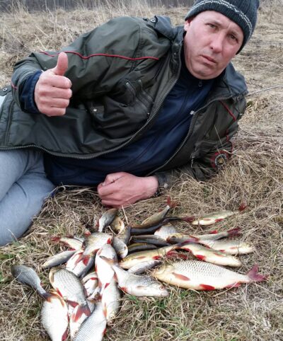 Paprastoji raudė — Ruklių I-asis
