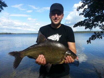Karšis, 3,6 kg — Alaušas