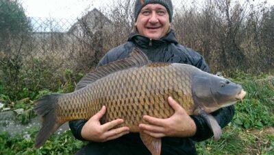 Paprastasis karpis, 19,6 kg — Nemėžių