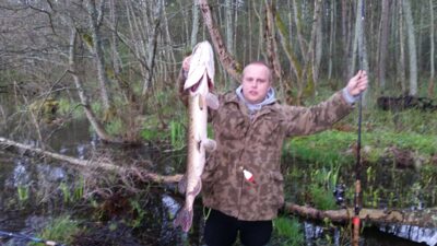 Lydeka, 5,8 kg — Kalotės