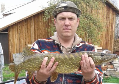Lydeka, 3,2 kg