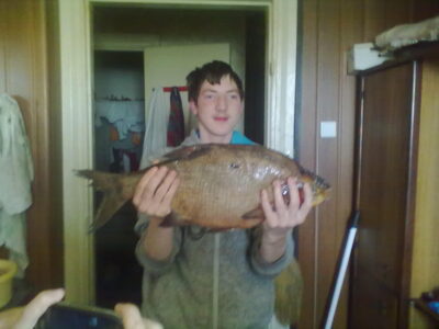 Karšis, 1,8 kg