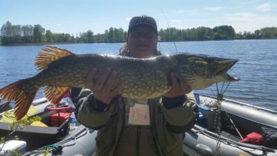 Lydeka, 6,5 kg — Prūtas