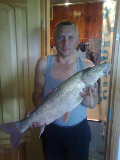 Paprastasis ūsorius, 5,0 kg