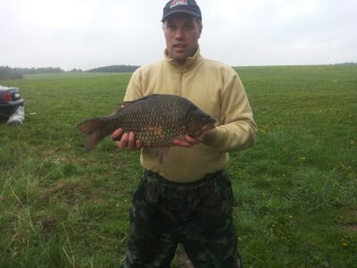 Sidabrinis karosas, 3,0 kg