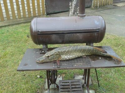 Lydeka, 3,8 kg
