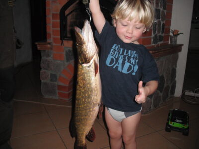 Lydeka, 2,4 kg