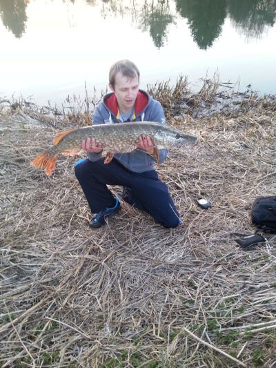 Lydeka, 6,6 kg