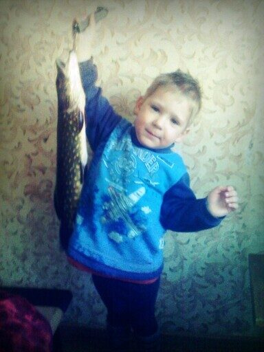 Lydeka, 2,0 kg