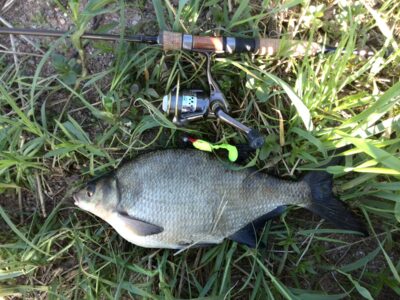 Karšis, 1,2 kg — Nemunas