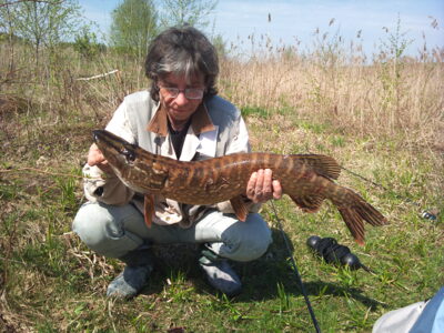 Lydeka, 4,7 kg