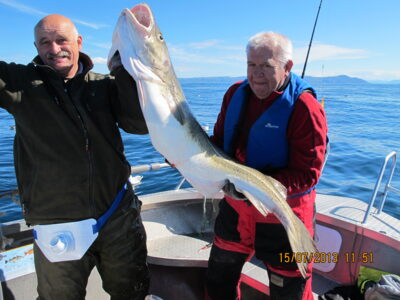 Menkė, 23,0 kg