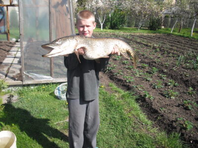 Lydeka, 9,4 kg