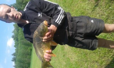 Paprastasis karpis, 3,4 kg