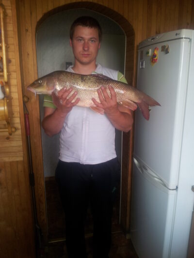 Paprastasis ūsorius, 5,1 kg