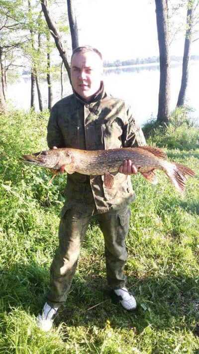 Lydeka, 6,0 kg — Alovės
