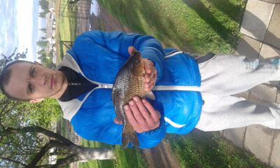 Sidabrinis karosas, 1,6 kg