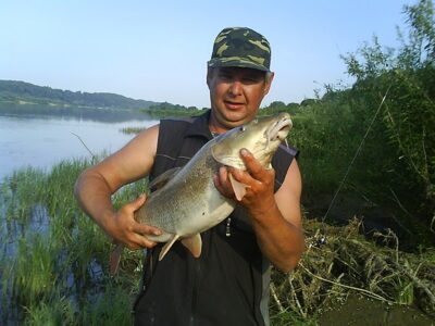Paprastasis ūsorius, 5,6 kg — Nemunas