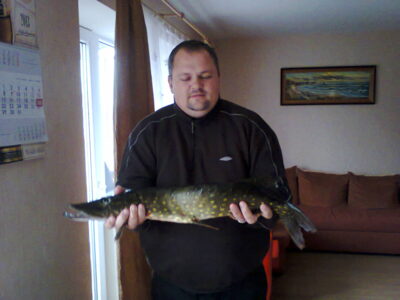 Lydeka, 3,4 kg