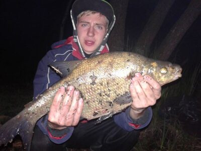 Karšis, 1,8 kg — Imbradas