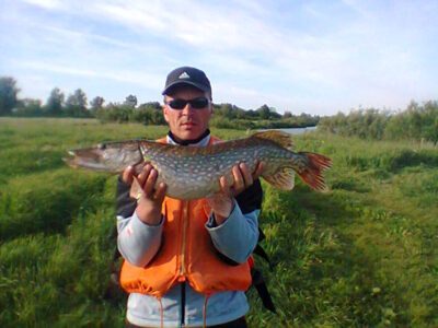 Lydeka, 3,3 kg — Nemunas