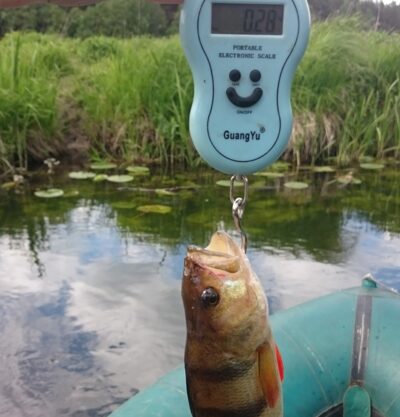 Ešerys, 0,3 kg — Žeimena