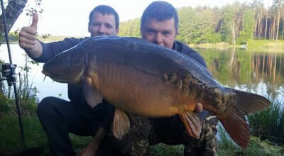 Paprastasis karpis, 8,2 kg — Ilgis