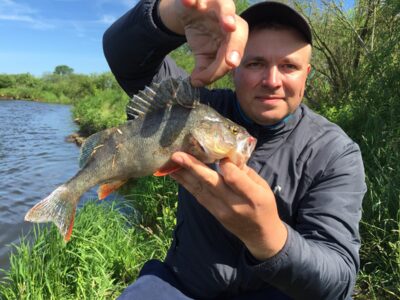 Ešerys, 0,5 kg