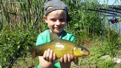 Lynas, 0,7 kg — Ilgis