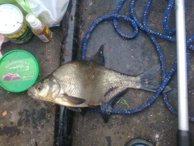 Karšis, 0,4 kg — Ekrano gamyklos