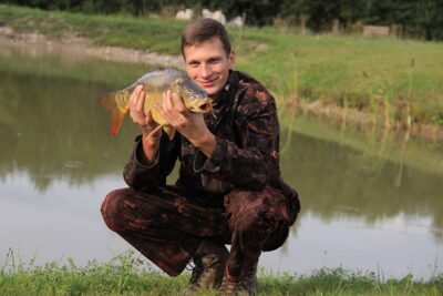 Paprastasis karpis, 2,5 kg