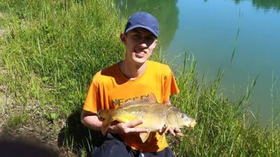 Paprastasis karpis, 2,5 kg — Ekrano gamyklos