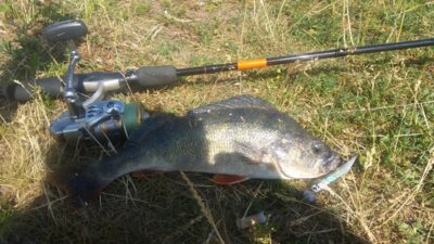 Ešerys, 0,4 kg — Skirvytė