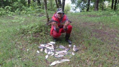 Sidabrinis karosas ×20 — Spenglas