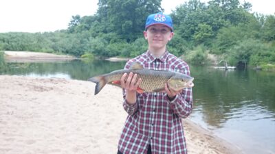 šapalas, 2,6 kg — Minija