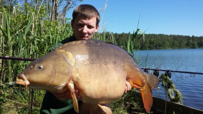 Paprastasis karpis, 16,0 kg — Ilgis